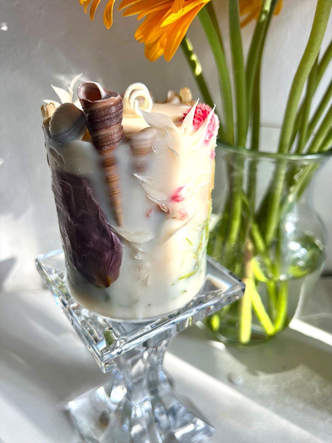 Seashell Garden thumbnail 2
