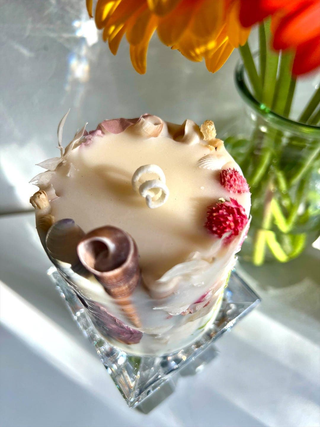 Seashell Garden thumbnail 3
