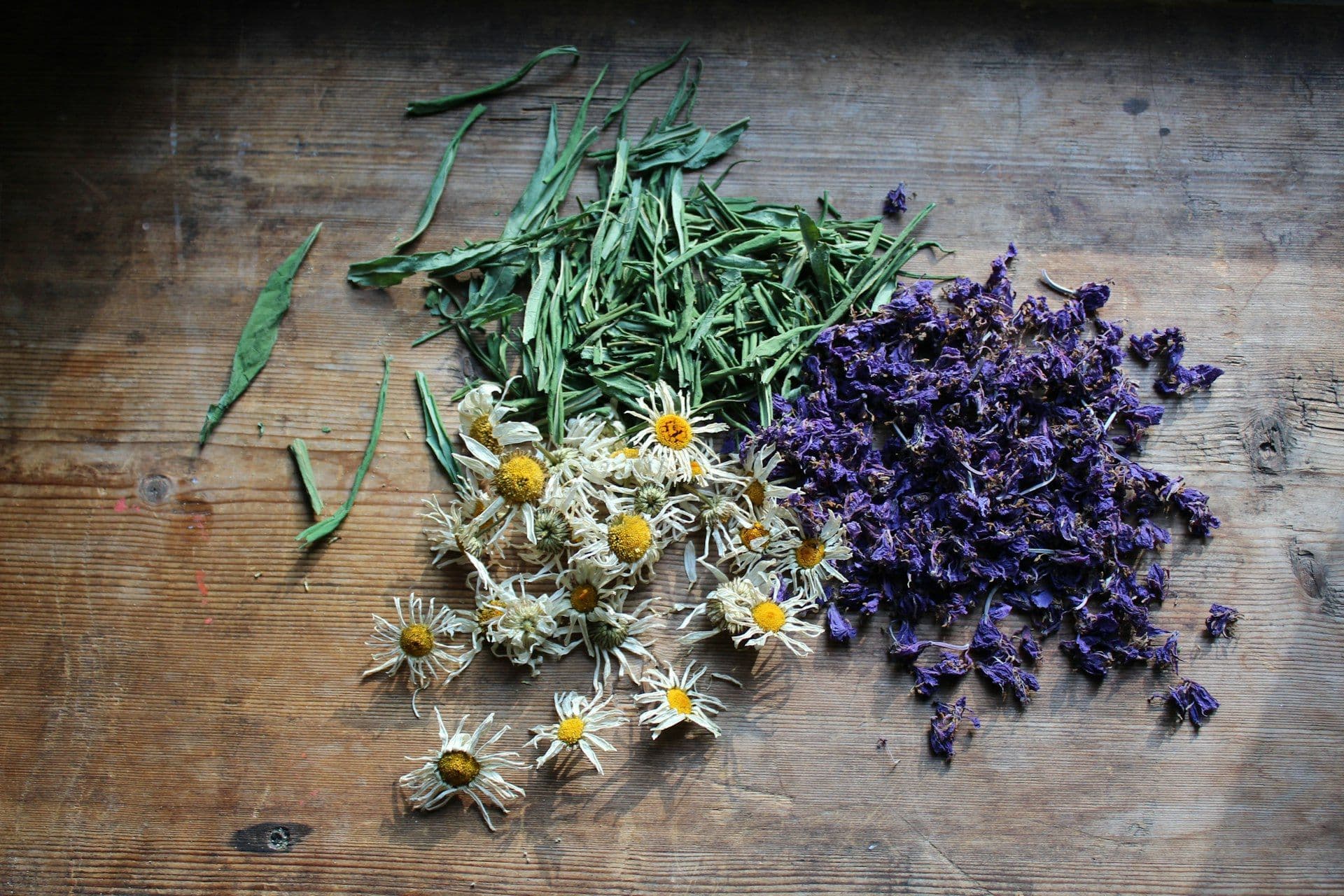 Assorted dried botanical flowers on wooden surface